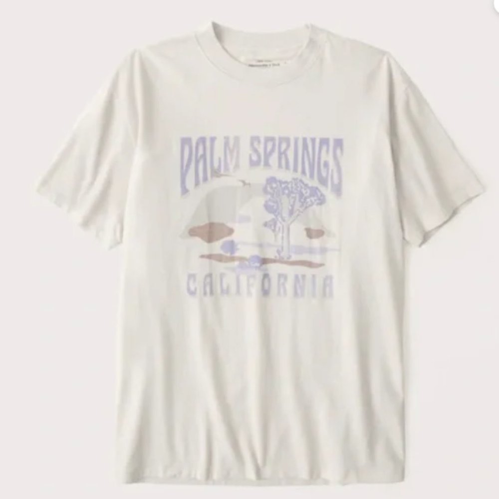 Abercrombie & Fitch | Palm Springs Graphic Tee